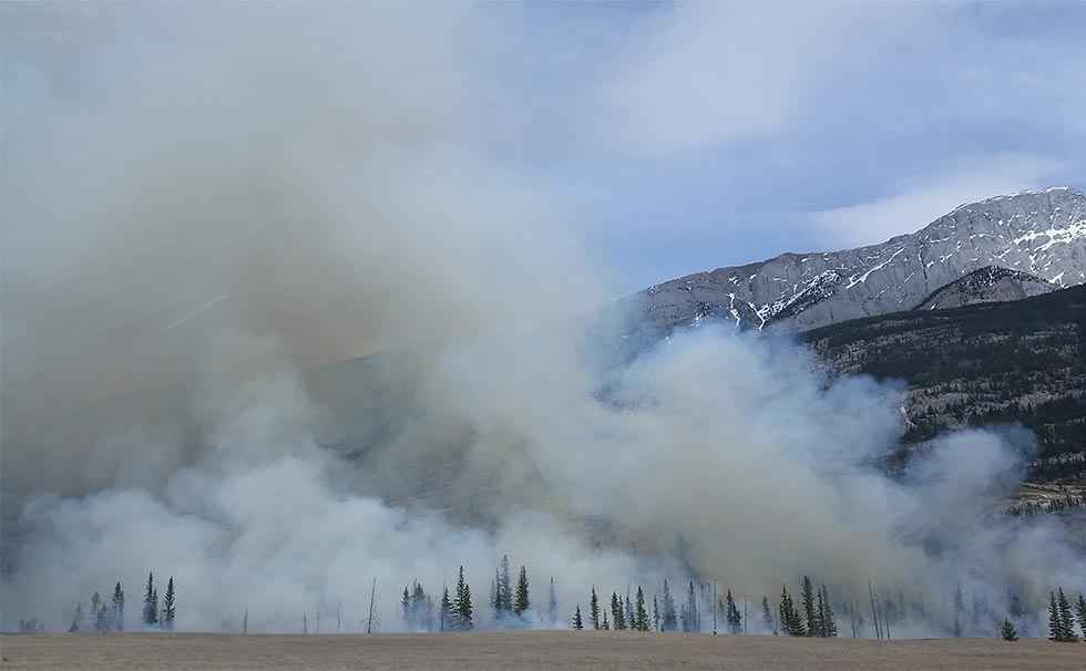 Declarado peligro alto de incendios forestales