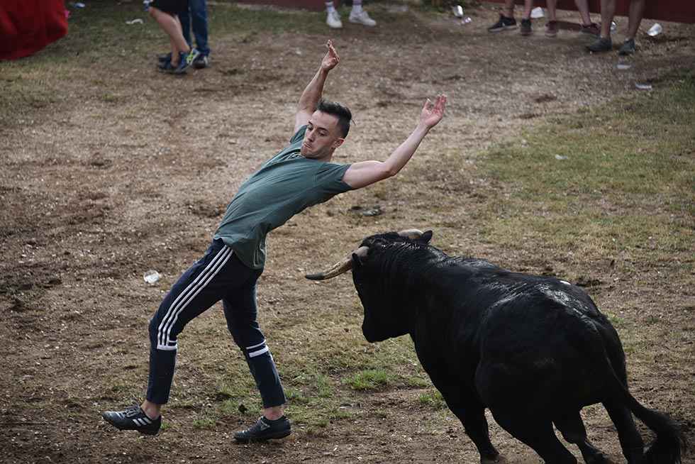 El Lavalenguas más esperado - fotos