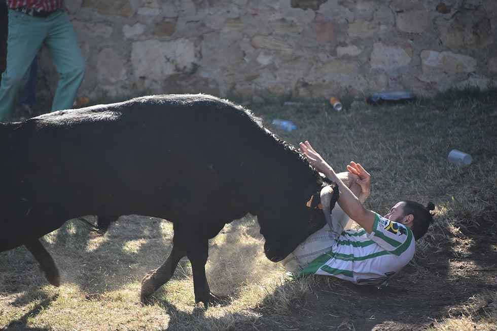 San Juan: festejo de La Compra - fotos