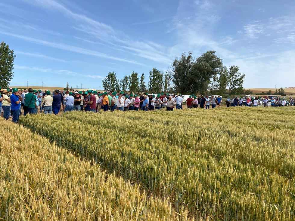 Asaja retoma las visitas a campos de ensayo Asaja retoma las visitas a campos de ensayo