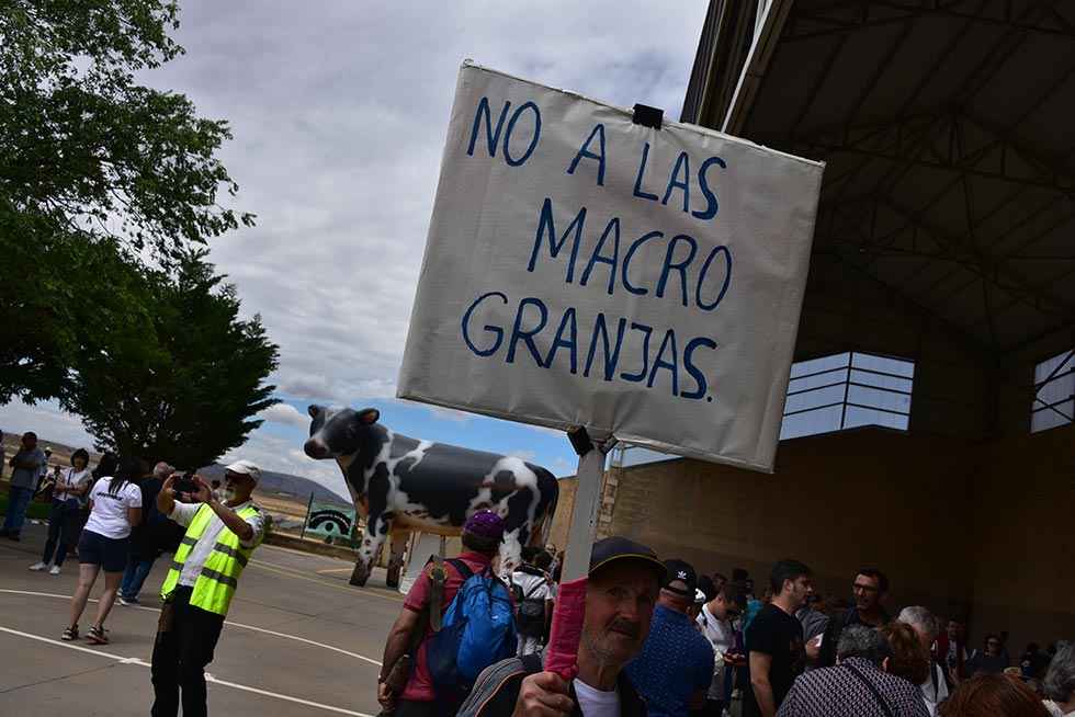 Noviercas: stop vaquería - fotos