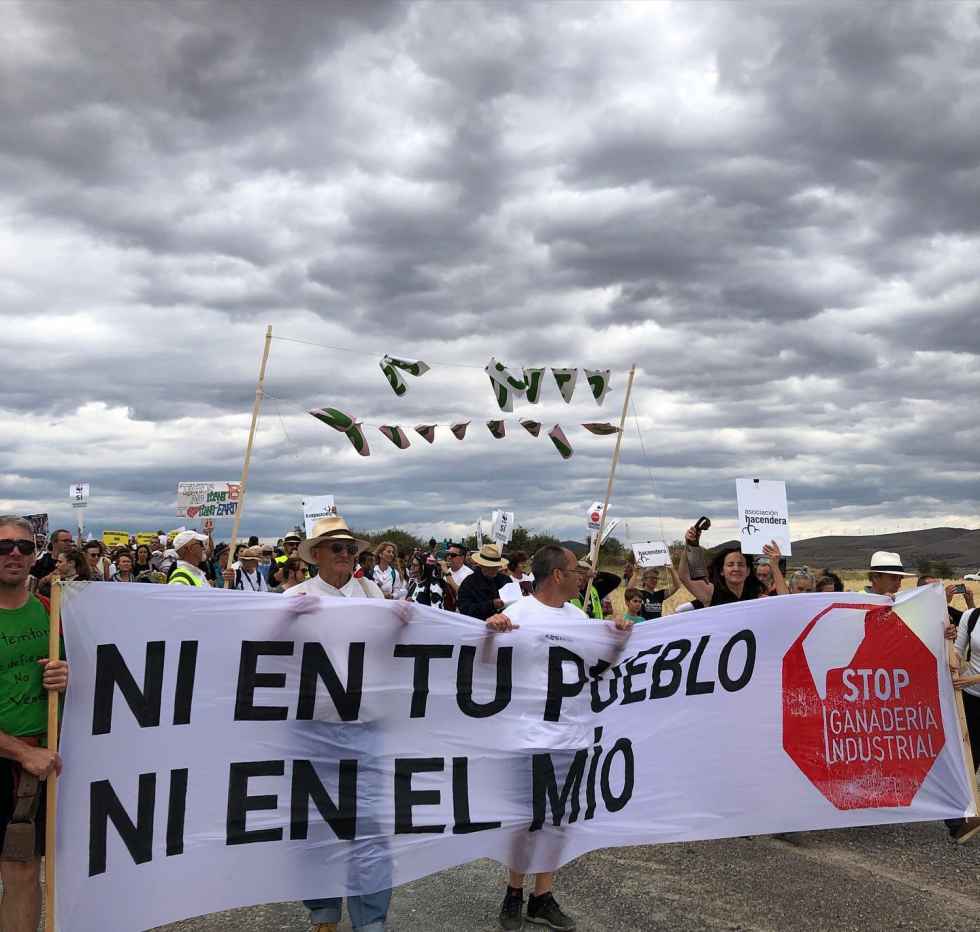 Alianza Verde pide desestimar macrogranja de Noviercas
