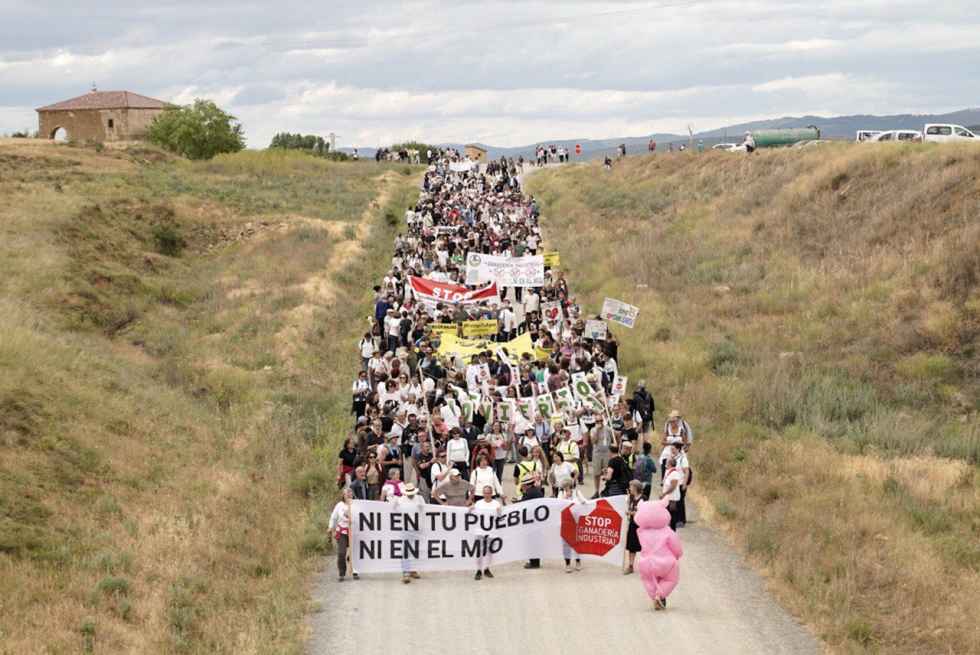 Alianza Verde pide desestimar macrogranja de Noviercas