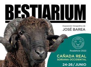 "Bestiarium", exposición sobre la trashumancia