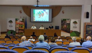 Montes de Soria crece hasta las 165.000 hectáreas 