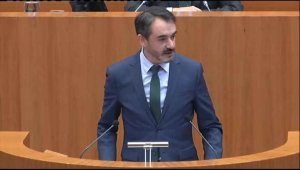 Vox califica de oportunista moción socialista sobre incendio