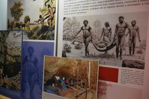 Un viaje a nuestros orígenes, en el Palacio de la Audiencia