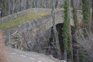 Soria y La Rioja tejen cultura en el Cidacos