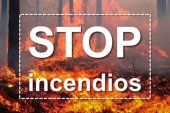 Impulso a investigación sobre cambio climático e incendios