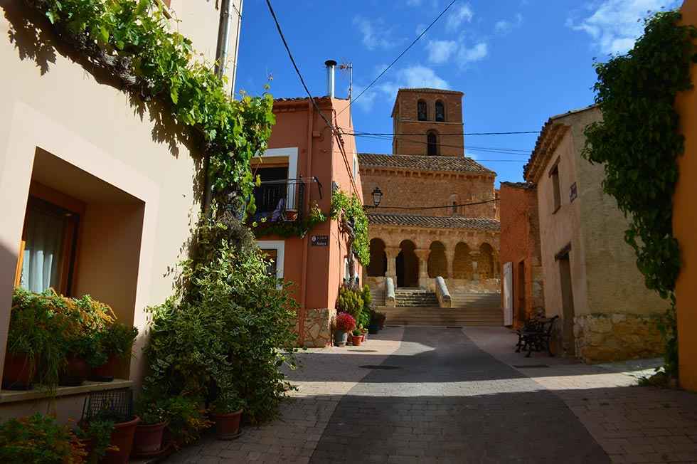 San Esteban celebra 40 años de D.O. de Ribera del Duero