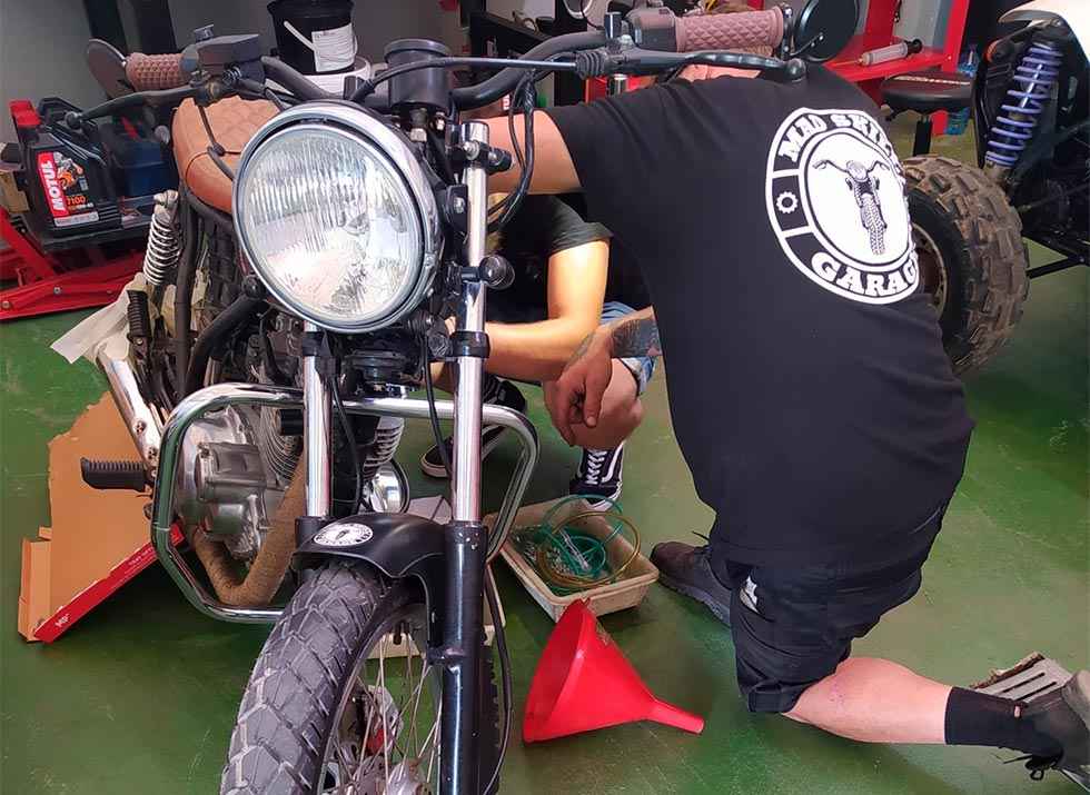 Nuevo negocio en el vivero de San Esteban de Gormaz 