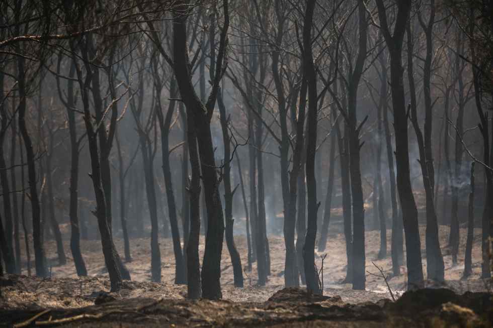Estabilizado el incendio en el Moncayo Estabilizado el incendio en el Moncayo