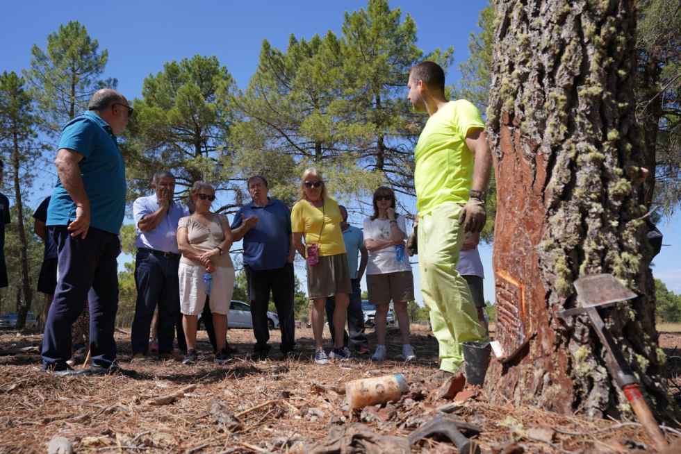 Tardelcuende tiene plan para crecer con resina Tardelcuende tiene plan para crecer con resina