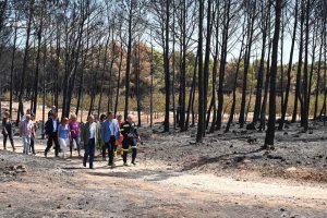 Ayudas para zonas afectadas gravemente por incendios