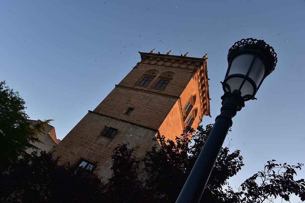 La torre de Soria - fotos