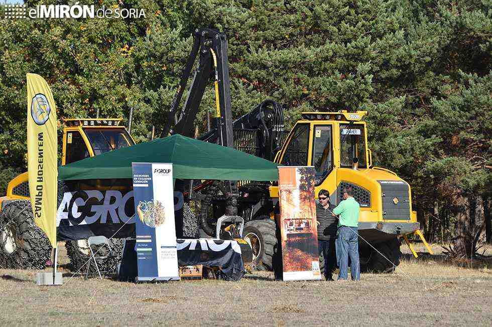 Cabrejas del Pinar celebra cuarta edición de su feria forestal