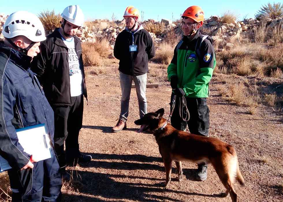 Exhibición canina de rescate en Velilla de la Sierra Exhibición canina de rescate en Velilla de la Sierra