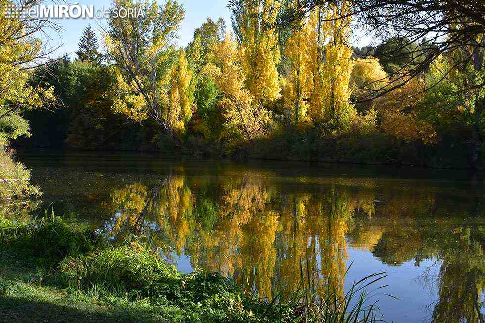 Dos sonetos para el otoño soriano