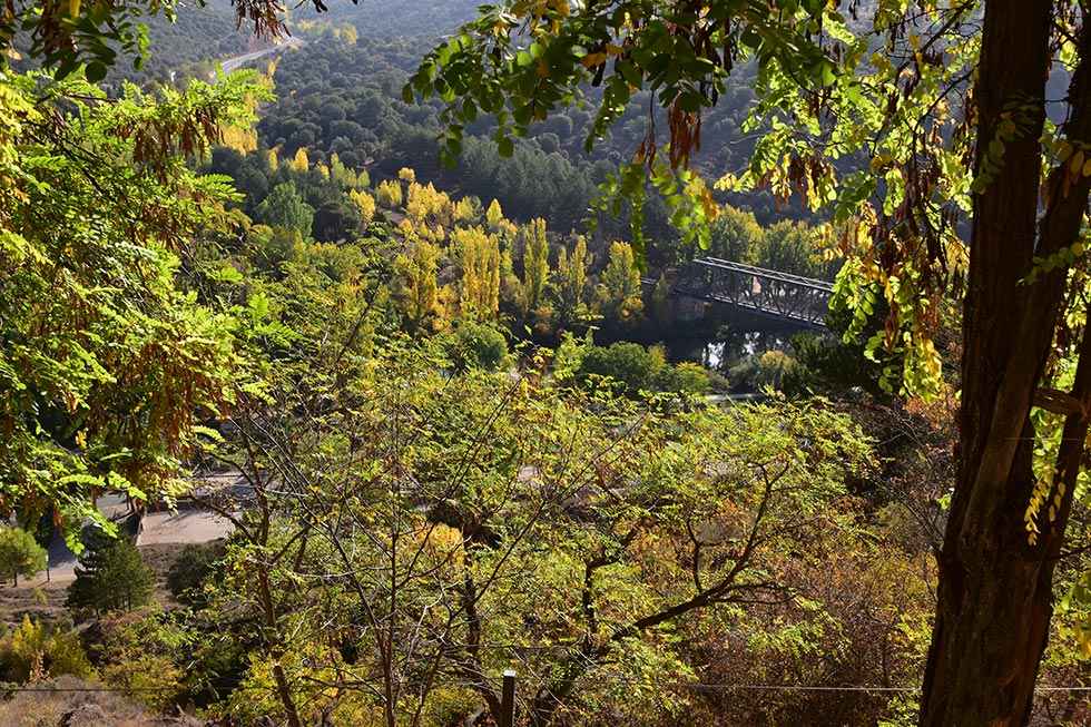 El otoño se asoma al Duero en Soria - fotos