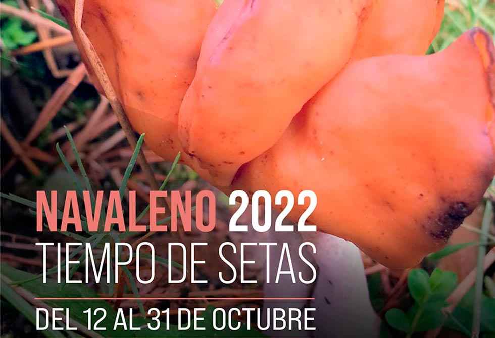 Comienza "Tiempo de Setas" en Navaleno