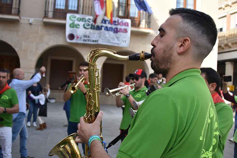 San Esteban de Gormaz: VI Concentración de charangas - fotos