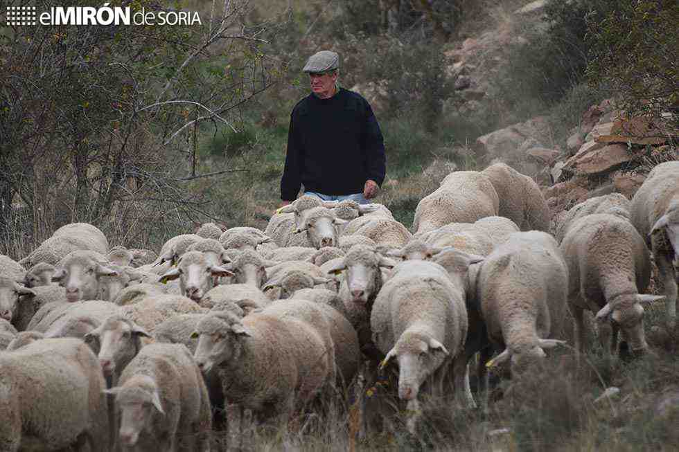 La Junta abona un nuevo anticipo de la PAC con 90,6 millones de euros 