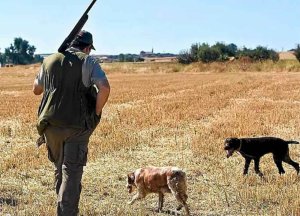 Vox alerta de amenazas de ley de Protección Animal