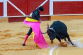 Rubén Sanz, clase magistral en Málaga