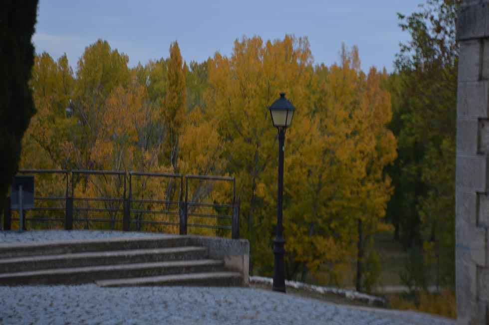 Almazán: otoño en La Arboleda - fotos