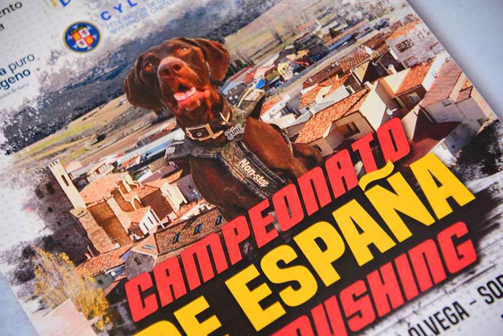 Diputación apoya Campeonato de España de Mushing