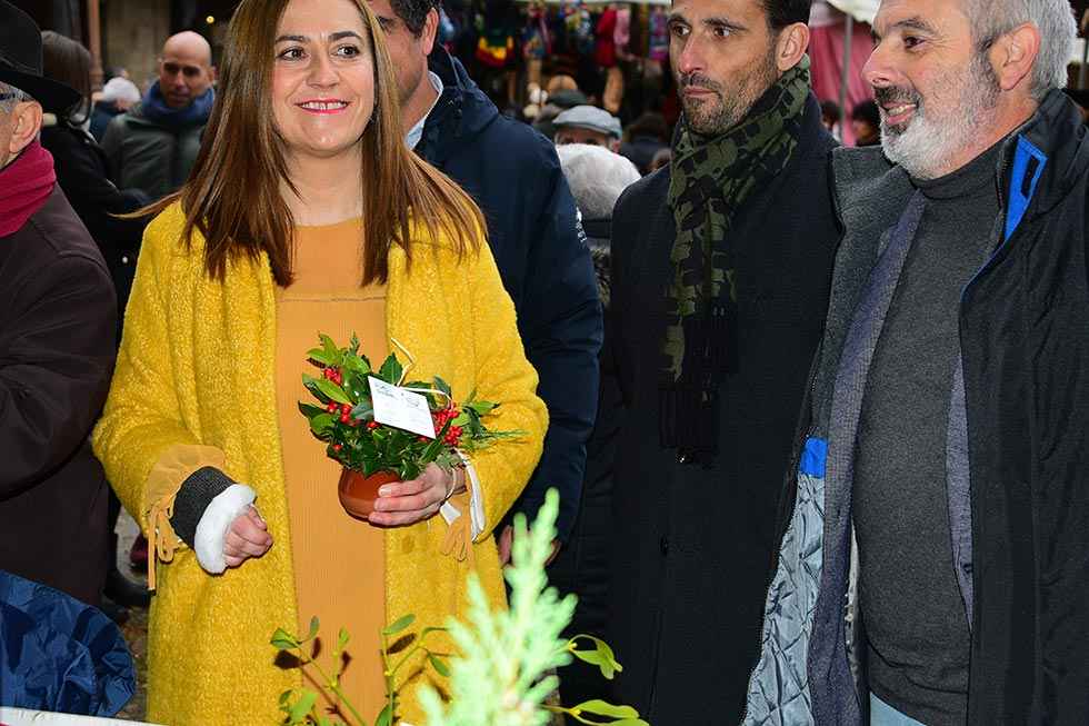 Berlanga de Duero: XXV Fería de Artesanía - fotos