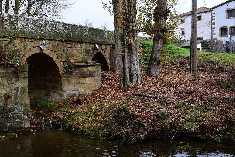 El río Tera, a su paso por Almarza - fotos