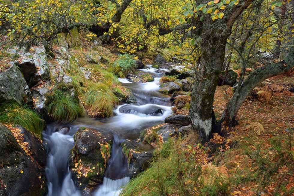 La Sierra de Guadarrama, con el mayor presupuesto La Sierra de Guadarrama, con el mayor presupuesto