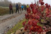 La Junta mejorará el Camino de Santiago