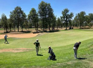 Un millar de participantes en 18 torneos de golf