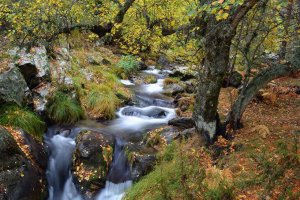 La Sierra de Guadarrama, con el mayor presupuesto