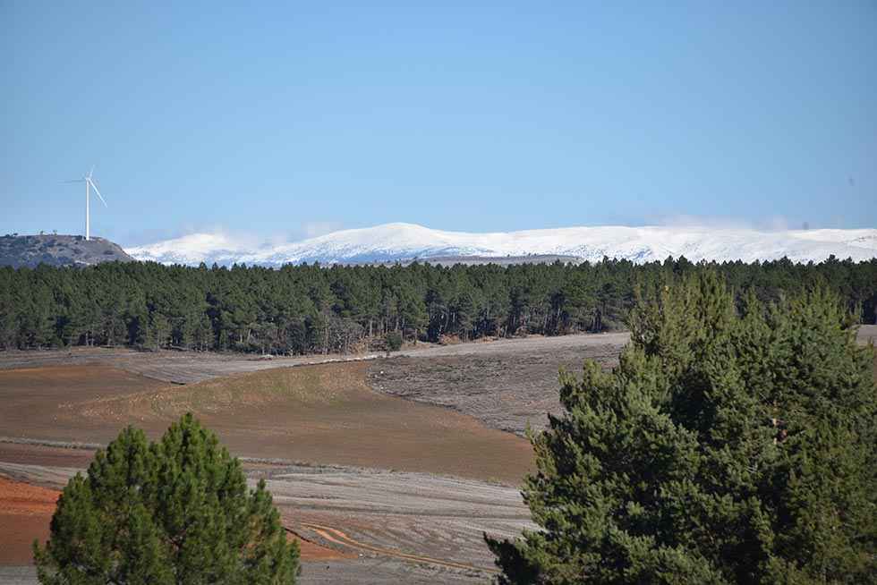 Invierno desde Los Llamosos - fotos