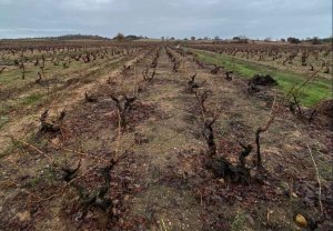 Cierre del programa de estancias formativas en Villálvaro