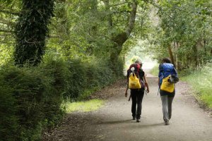 Aumenta afiliación a Seguridad Social en sector turístico