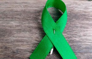 Lazo gigante verde contra el cáncer