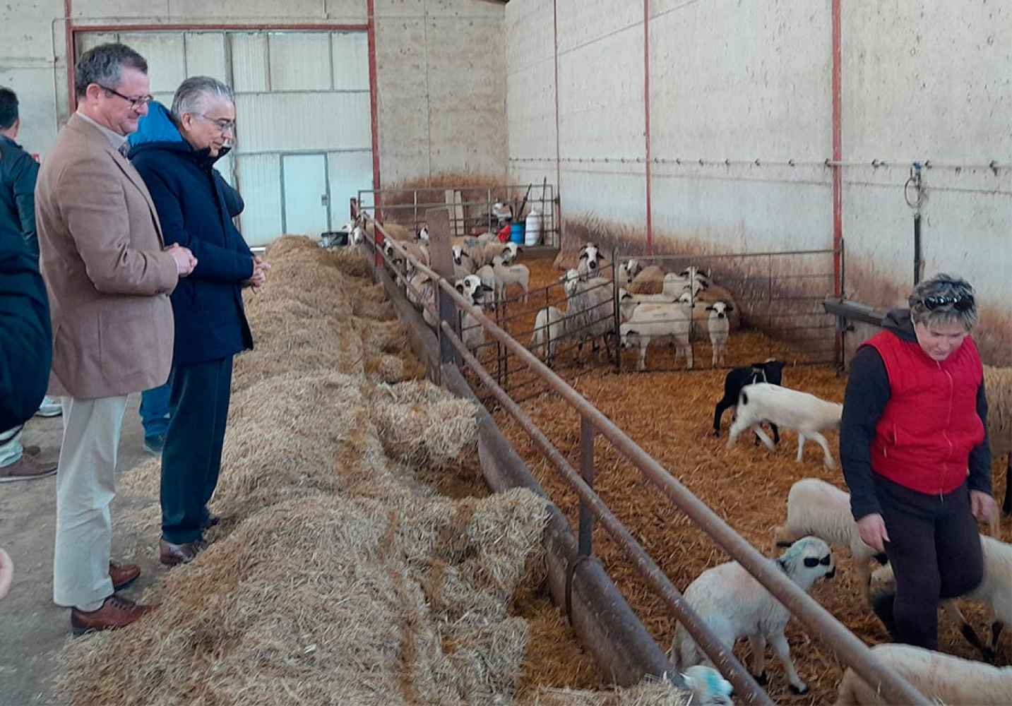 Más de 600 jóvenes incorporados a actividad agraria Más de 600 jóvenes incorporados a actividad agraria
