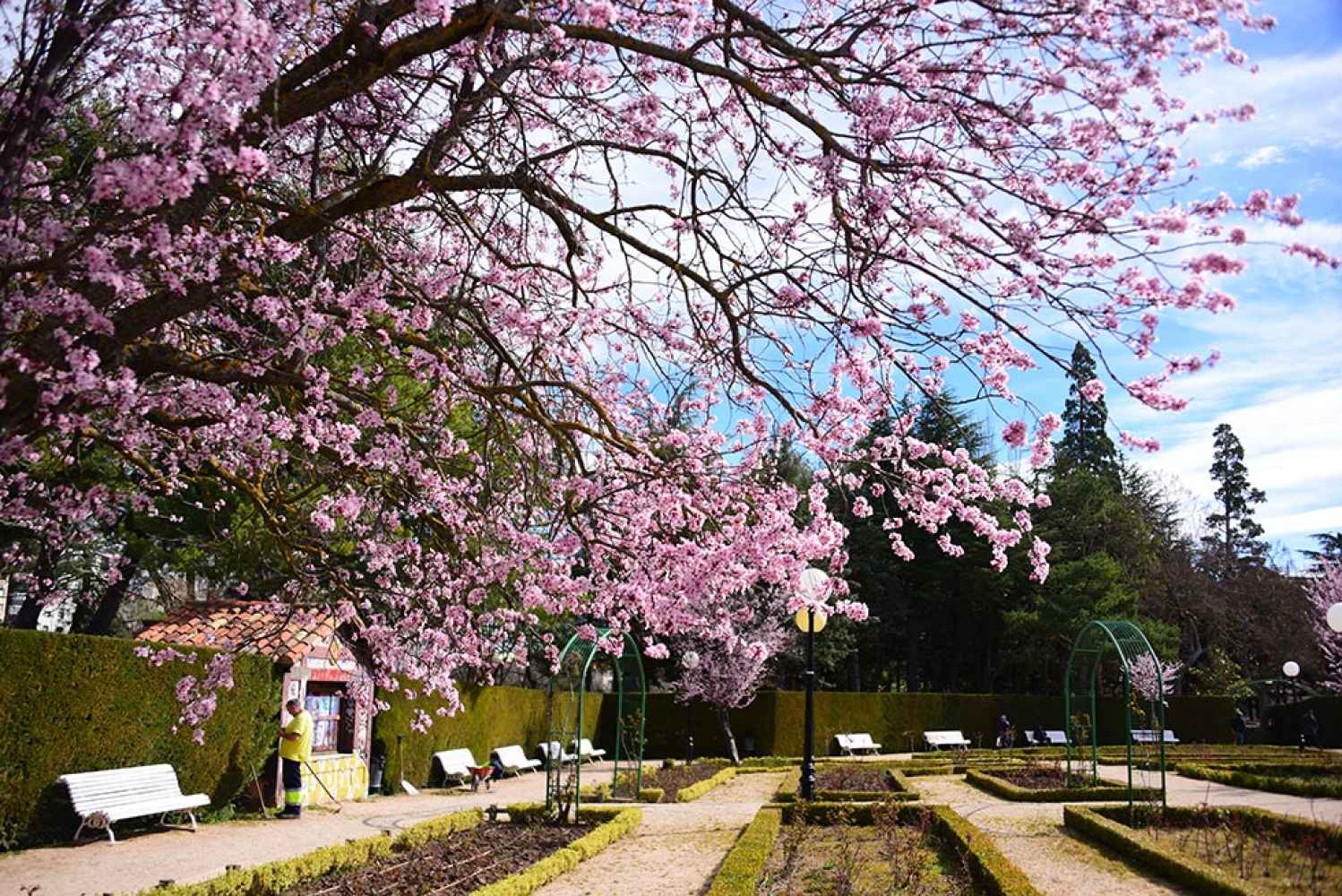 La primavera llega a Soria - fotos