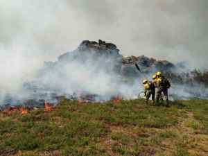 Aprobado marco jurídico básico para bomberos forestales 