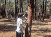 Trazan líneas para asegurar sostenibilidad en resina Trazan líneas para asegurar sostenibilidad en resina