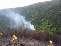 Urgen mejor gestión de bosques para prevenir incendios 