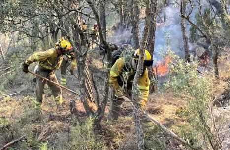 CSIF pide a Junta que le sirva de ejemplo incendio en Castellón