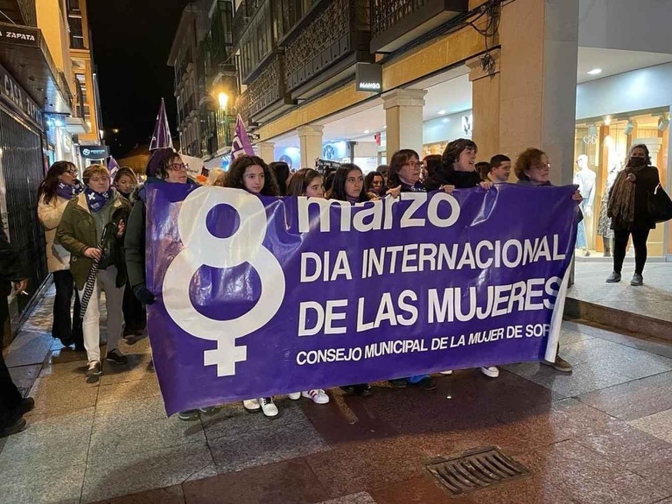 El Consejo de la Mujer, en manifestación de Valladolid El Consejo de la Mujer, en manifestación de Valladolid