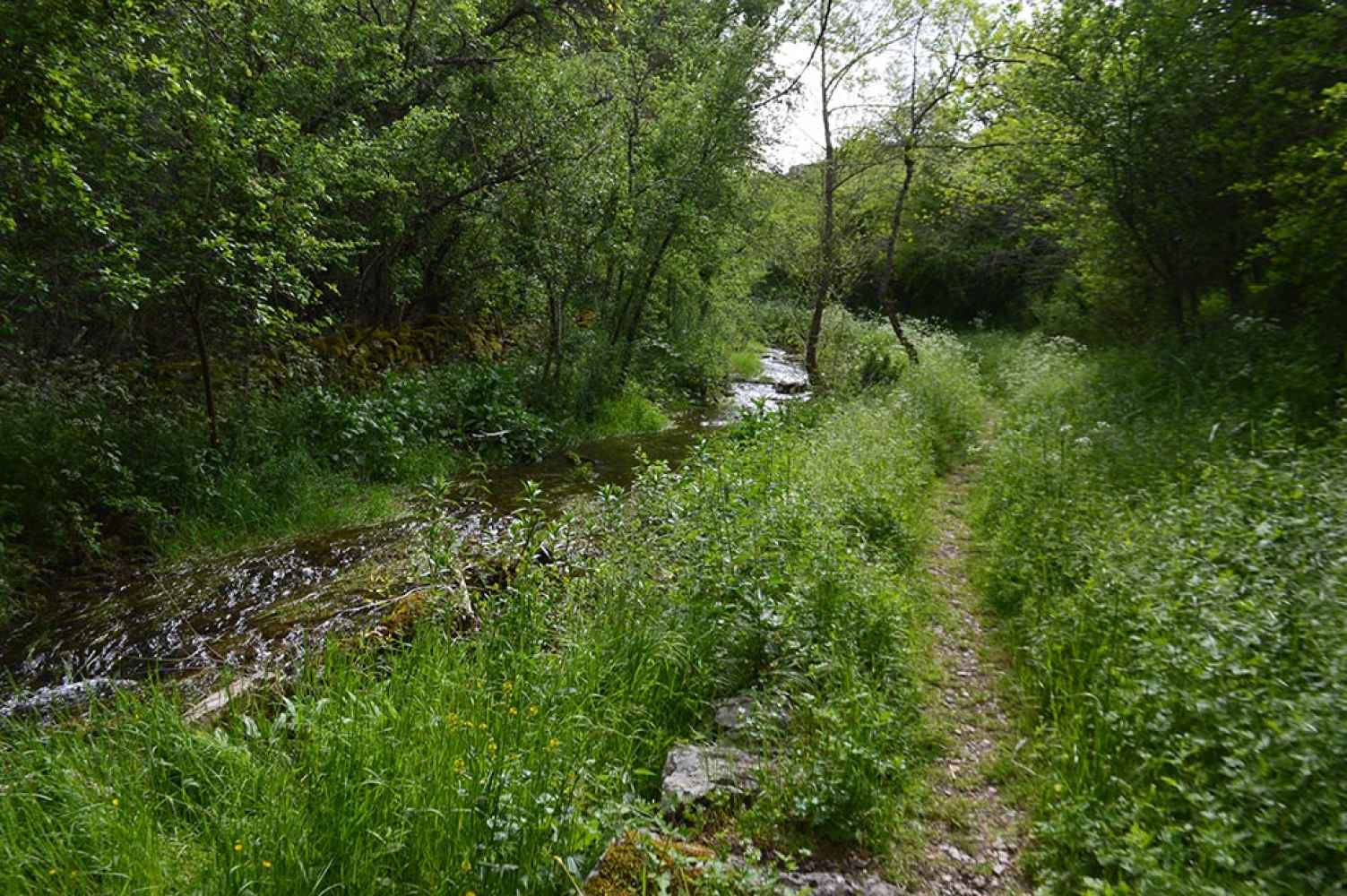 De ruta por el río Talegones - fotos