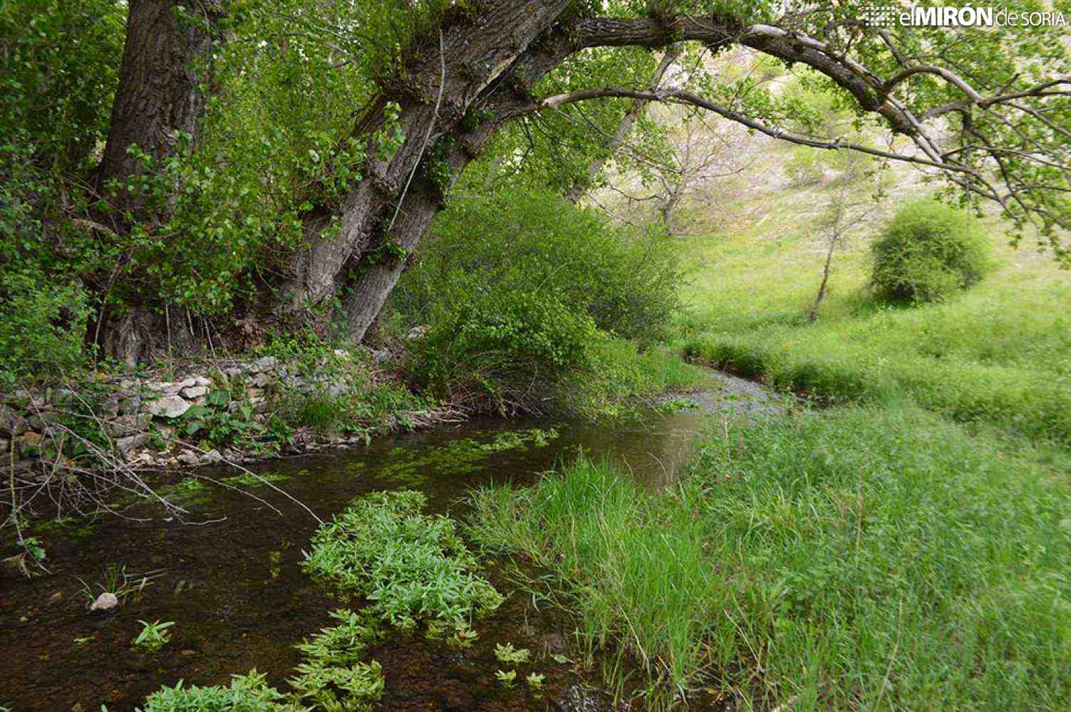 De ruta por el río Talegones fotos