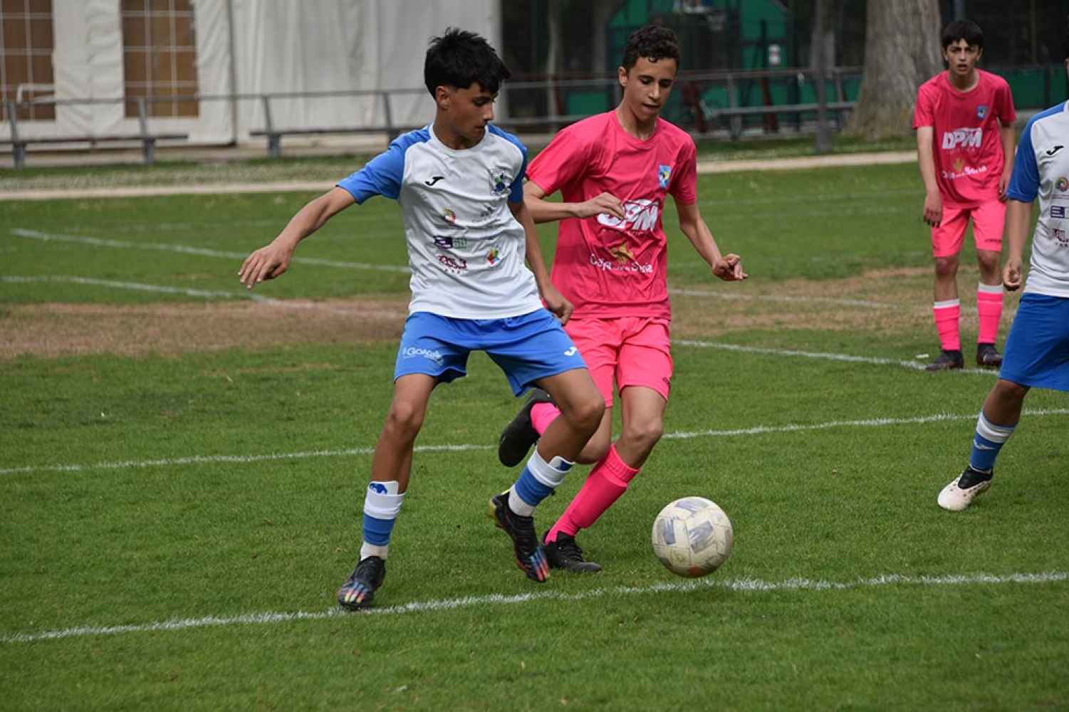 Fútbol cadete: S.D. Almazán-Calasanz - fotos